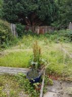 Click for all images